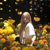lily_fair